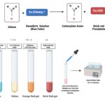 Benedict’s Test - Principle, Reagent Preparation, Procedure, Result, Limitation
