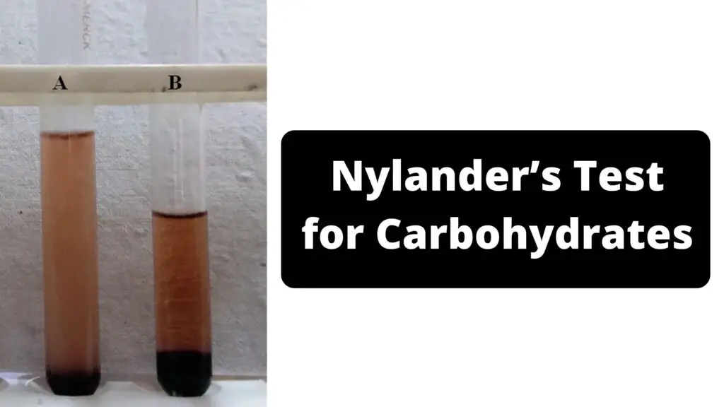 Nylander’s Test for Carbohydrates Principle, Procedure, Result ...