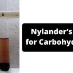 Nylander’s Test for Carbohydrates Principle, Procedure, Result