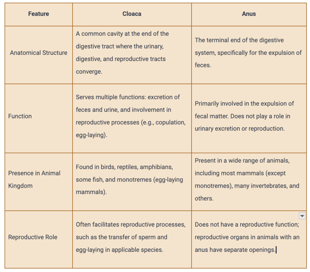 Difference between Natural and artificial selection - Natural vs ...