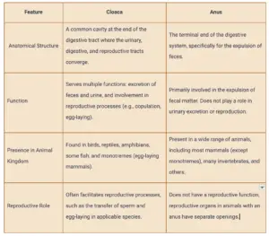 What is the Difference Between Cloaca and Anus?