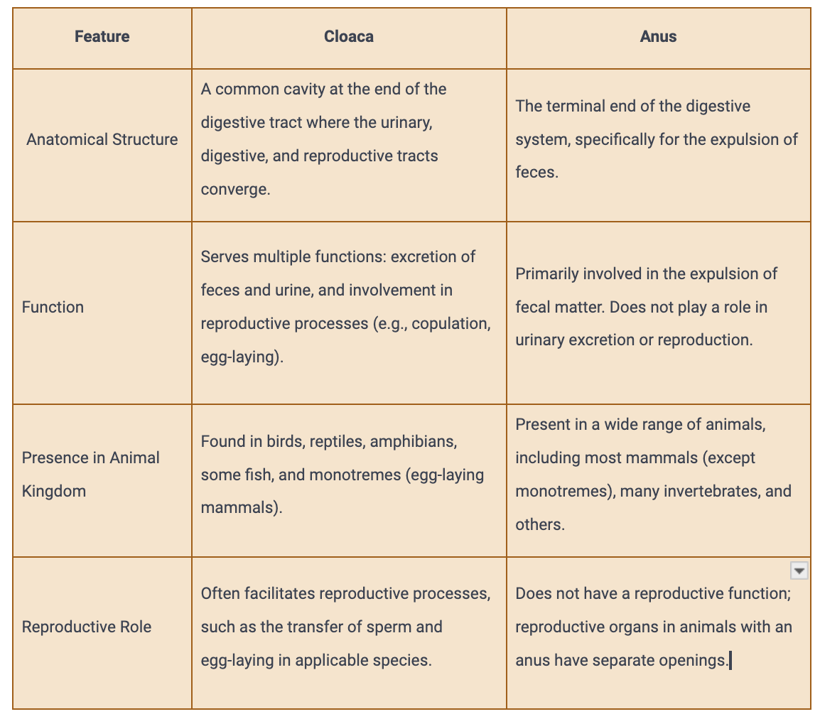 What is the Difference Between Cloaca and Anus? - Biology Notes Online