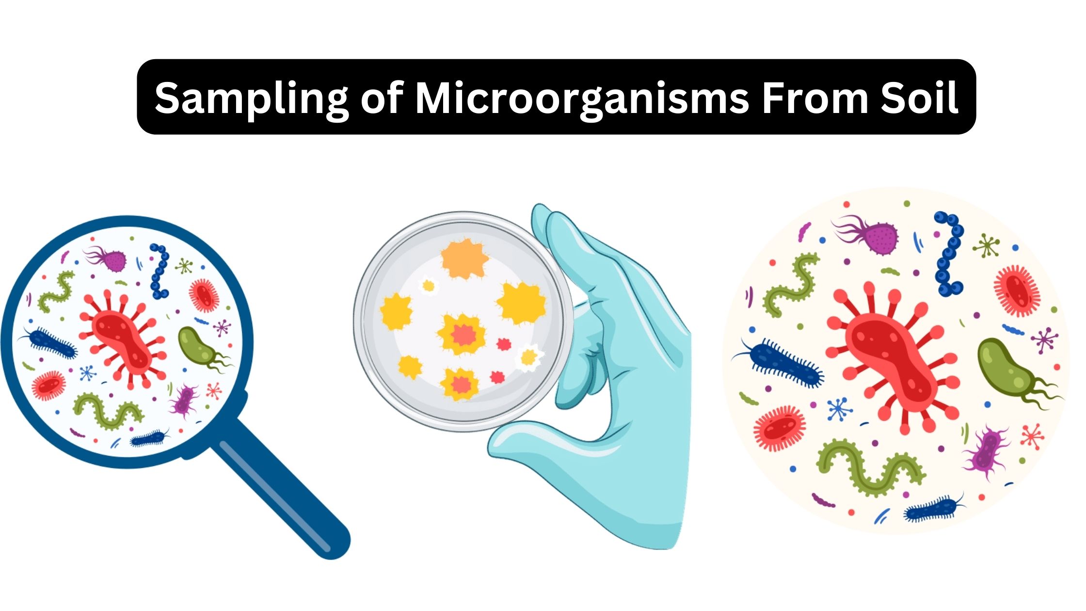 Sampling of Microorganisms From Soil