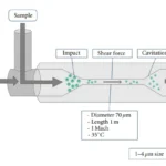Homogenizer - Principle, Parts, Types, Procedure, Uses