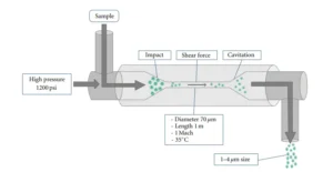 Homogenizer – Principle, Parts, Types, Procedure, Uses