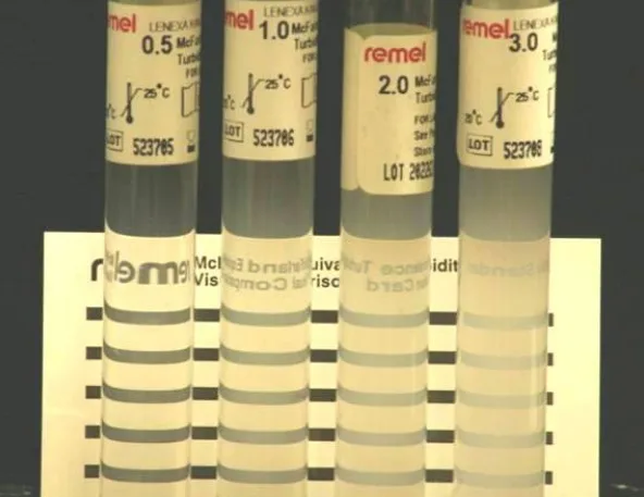 Kirby Bauer Disk Diffusion Susceptibility Test Protocol