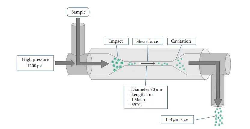 Homogenizer - Principle, Parts, Types, Procedure, Uses