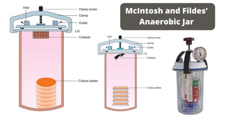 McIntosh and Fildes’ Anaerobic Jar Principle, Procedure
