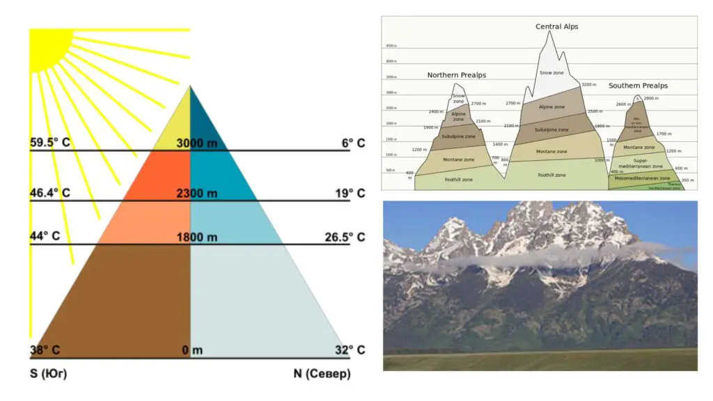 Altitudinal Zonation - Definition, Factors, Importance, Examples ...