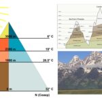 Altitudinal Zonation - Definition, Factors, Importance, Examples