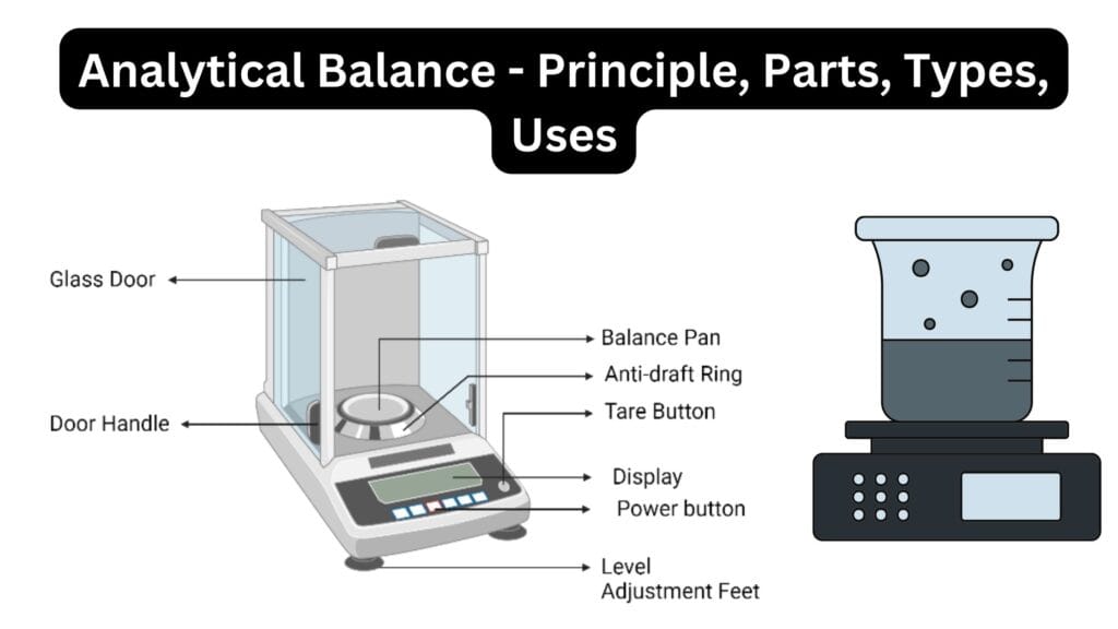 Analytical Balance Diagram Principle Parts Types Uses