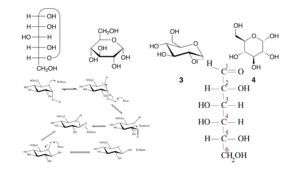 Anomer – Definition, Mechanism, Properties