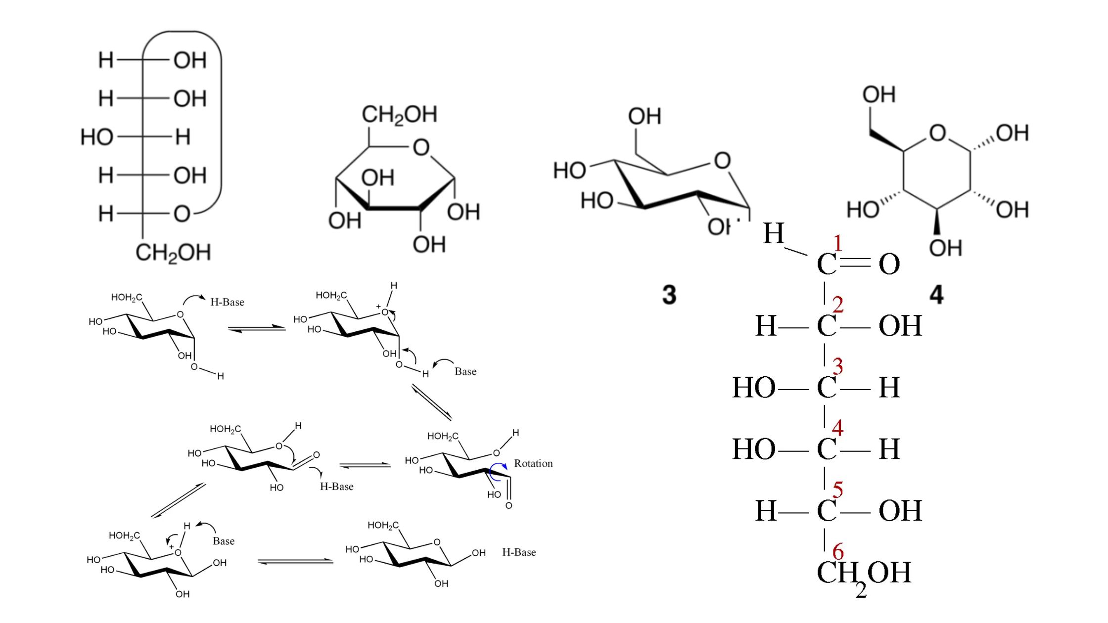 Anomer - Definition, Mechanism, Properties