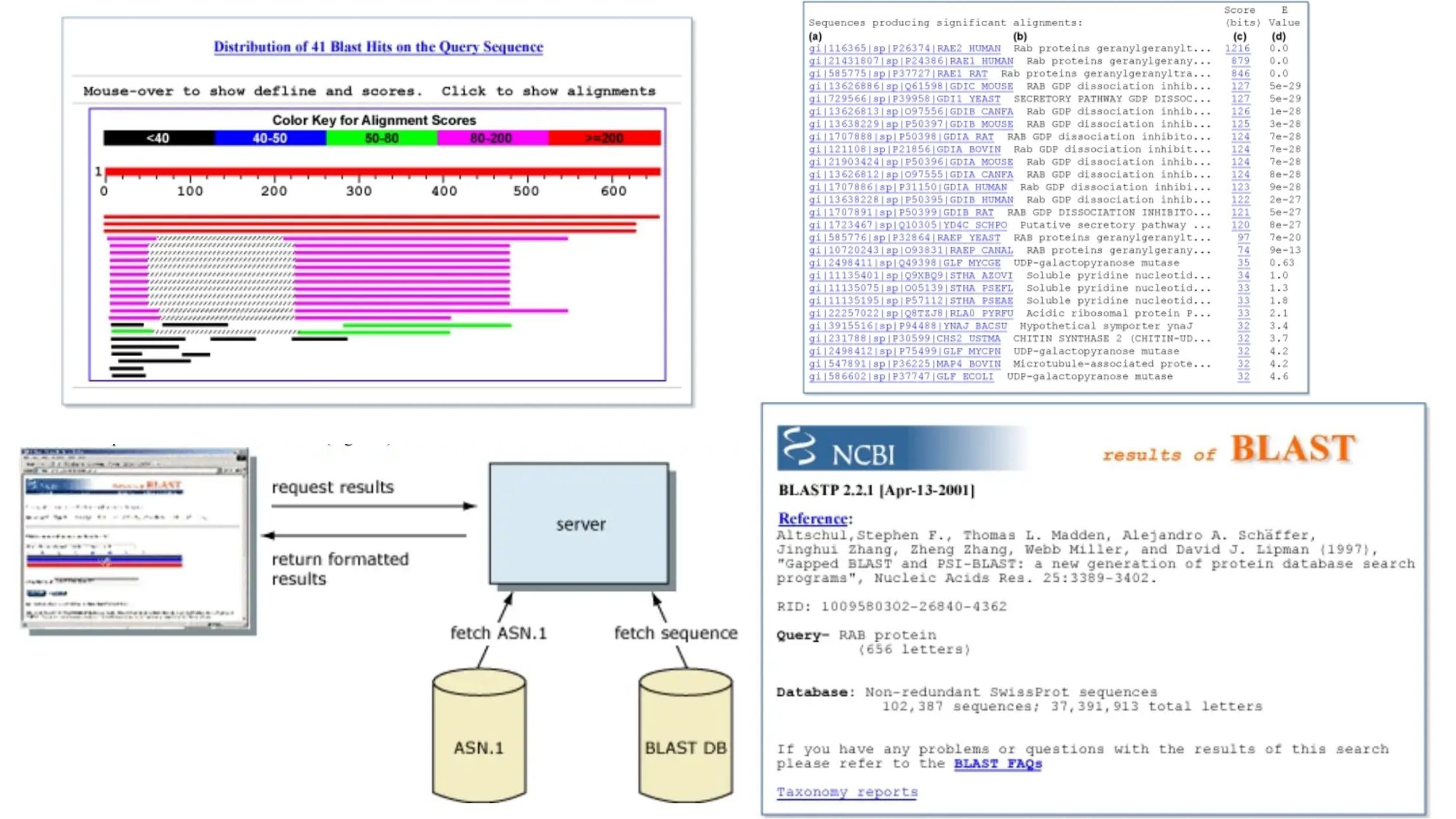 BLAST - Definition, Types, Characteristics, Outputs, Applications