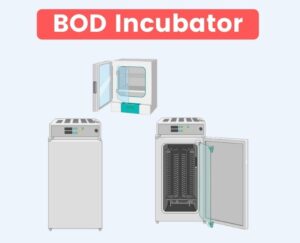 BOD Incubator – Principle, Parts, Procedure, Application