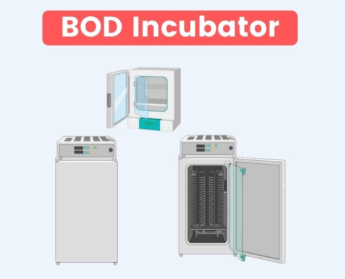 BOD Incubator - Definition, Principle, Components, Procedure, Application