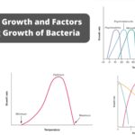 Bacterial Growth and Different Environmental Factors Affect Bacterial Growth