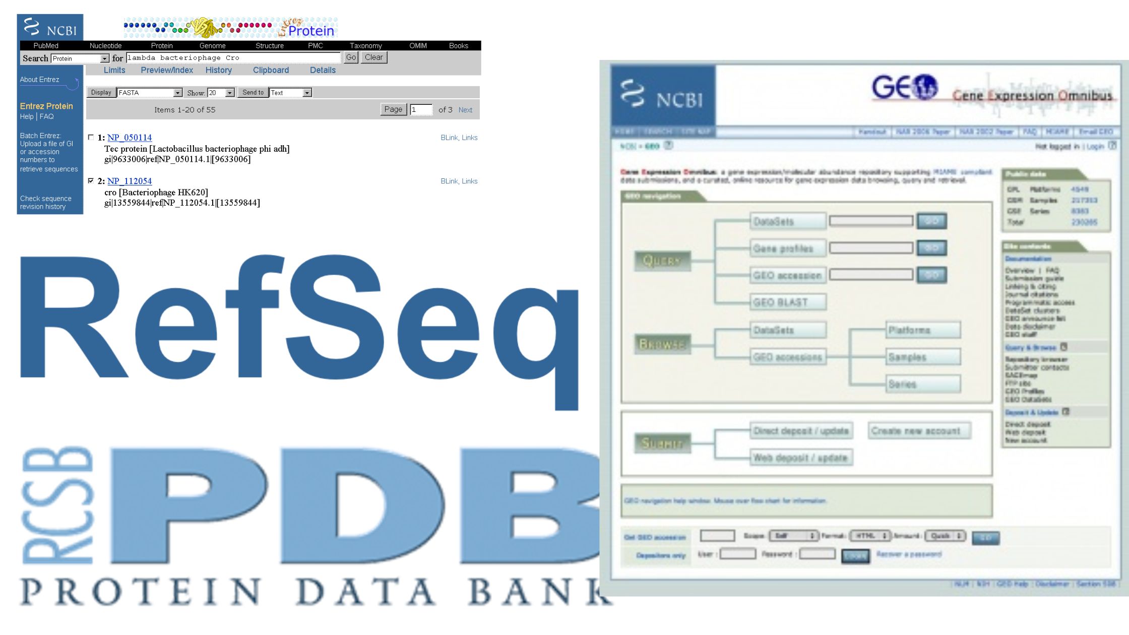 Bioinformatics Databases, Software, and Tools