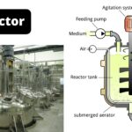 Bioreactor - Types, Design, Parts, Applications, Limitations
