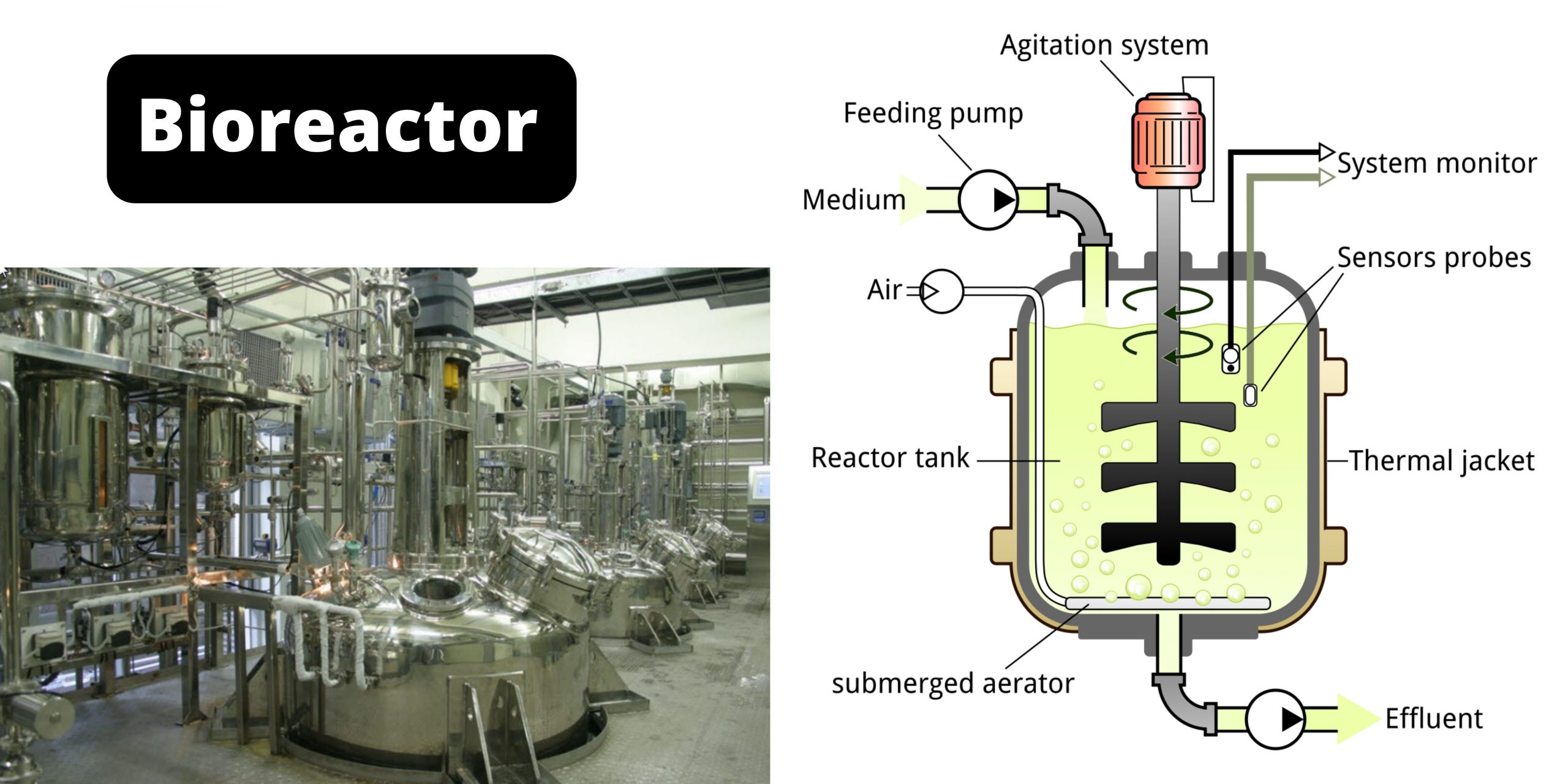 Bioreactor - Types, Design, Parts, Applications, Limitations