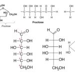 Carbohydrates - Definition, Structure, Types, Examples, Functions