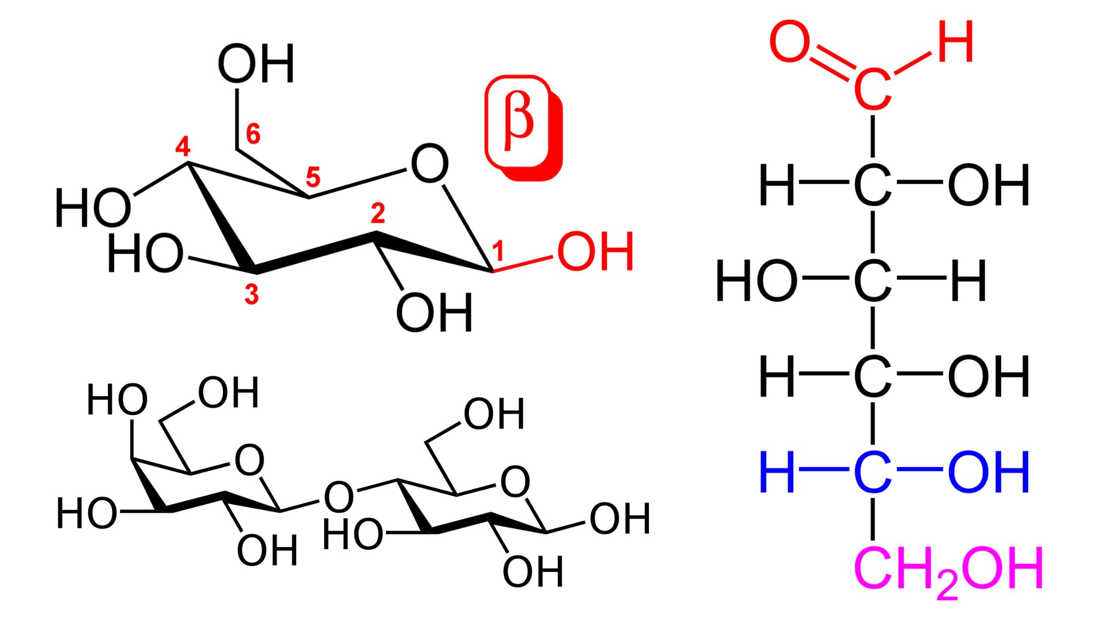 Carbohydrates - Monosaccharides, Disaccharides, Polysaccharides