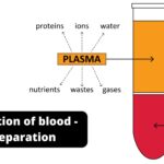 Centrifugation of blood - Blood Separation