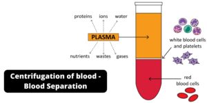 Centrifugation of blood – Blood Separation