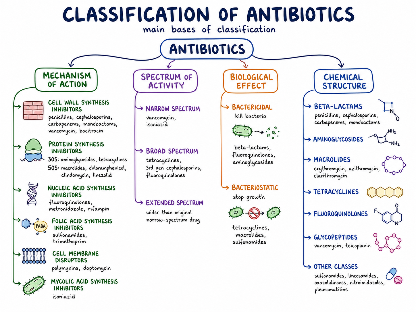 Antibiotics - Classification, Mode of action, Examples