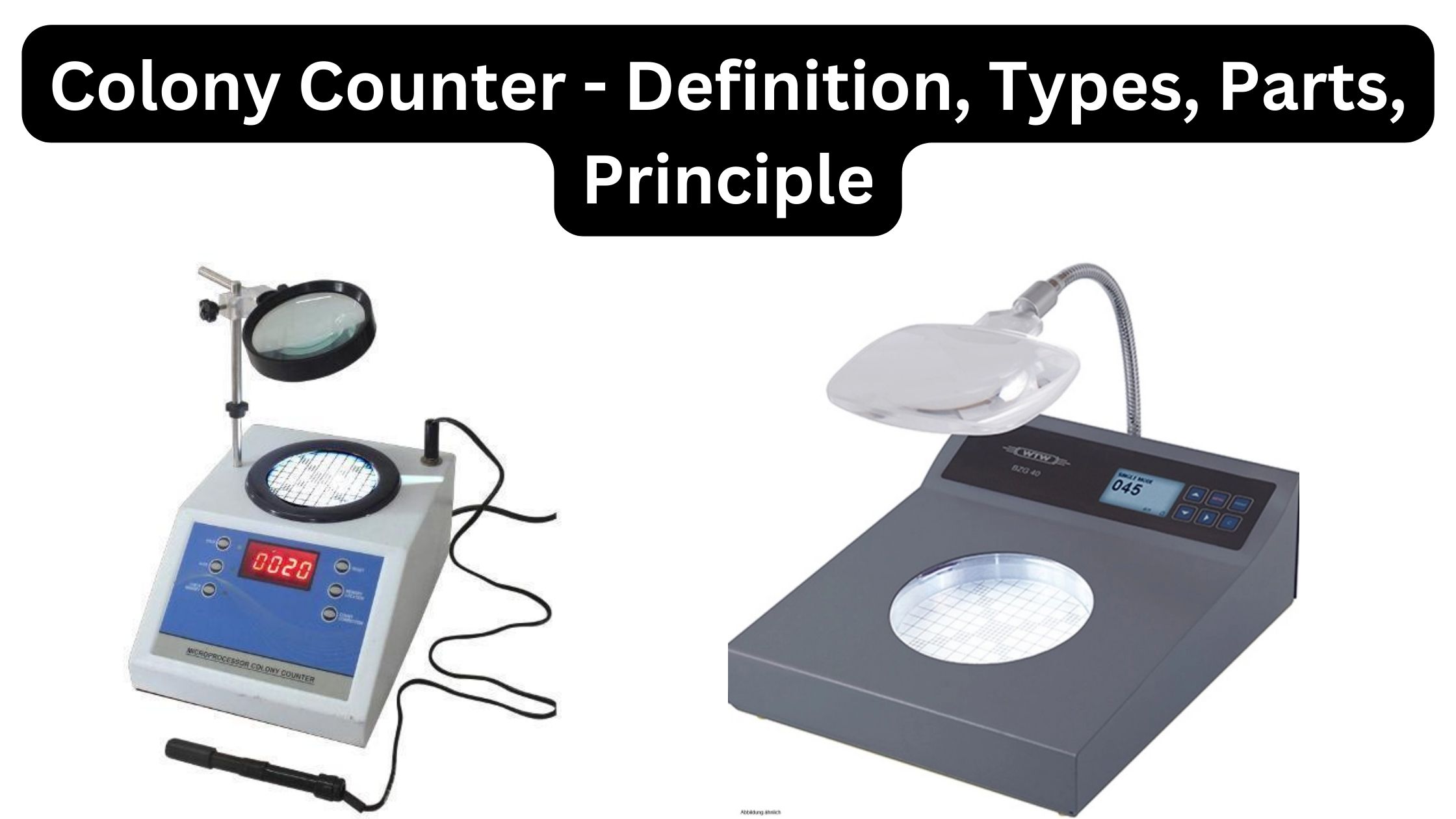 Colony Counter - Definition, Types, Parts, Principle