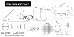 14 Common Glassware used in A Microbiology Laboratory