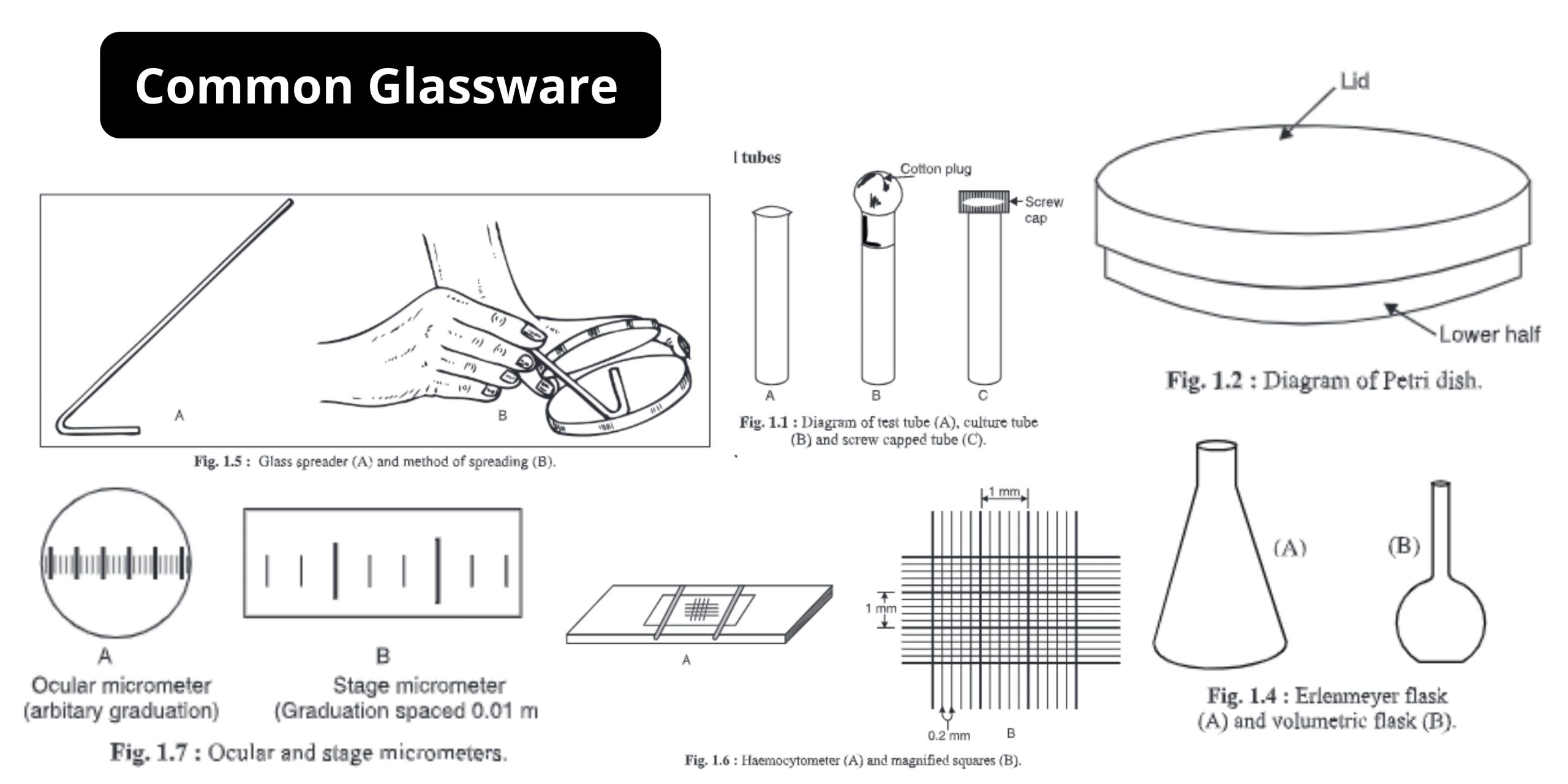 Common Glassware used in A Microbiology Laboratory