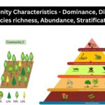 Community Characteristics - Dominance, Diversity, Species richness, Abundance, Stratification