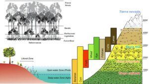 Community – Definition, Types, Characterisitcs, Importance