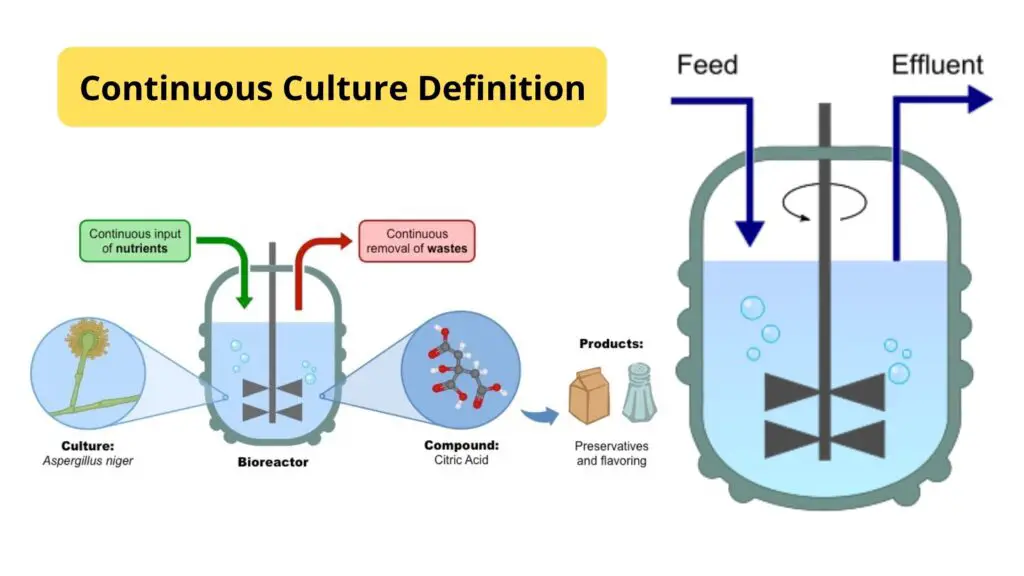 Continuous Culture - Definition, Advantage, Application, Systems 