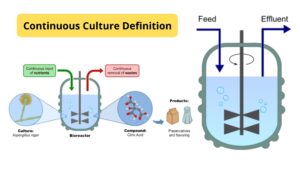 Continuous Culture – Definition, Advantage, Application, Systems