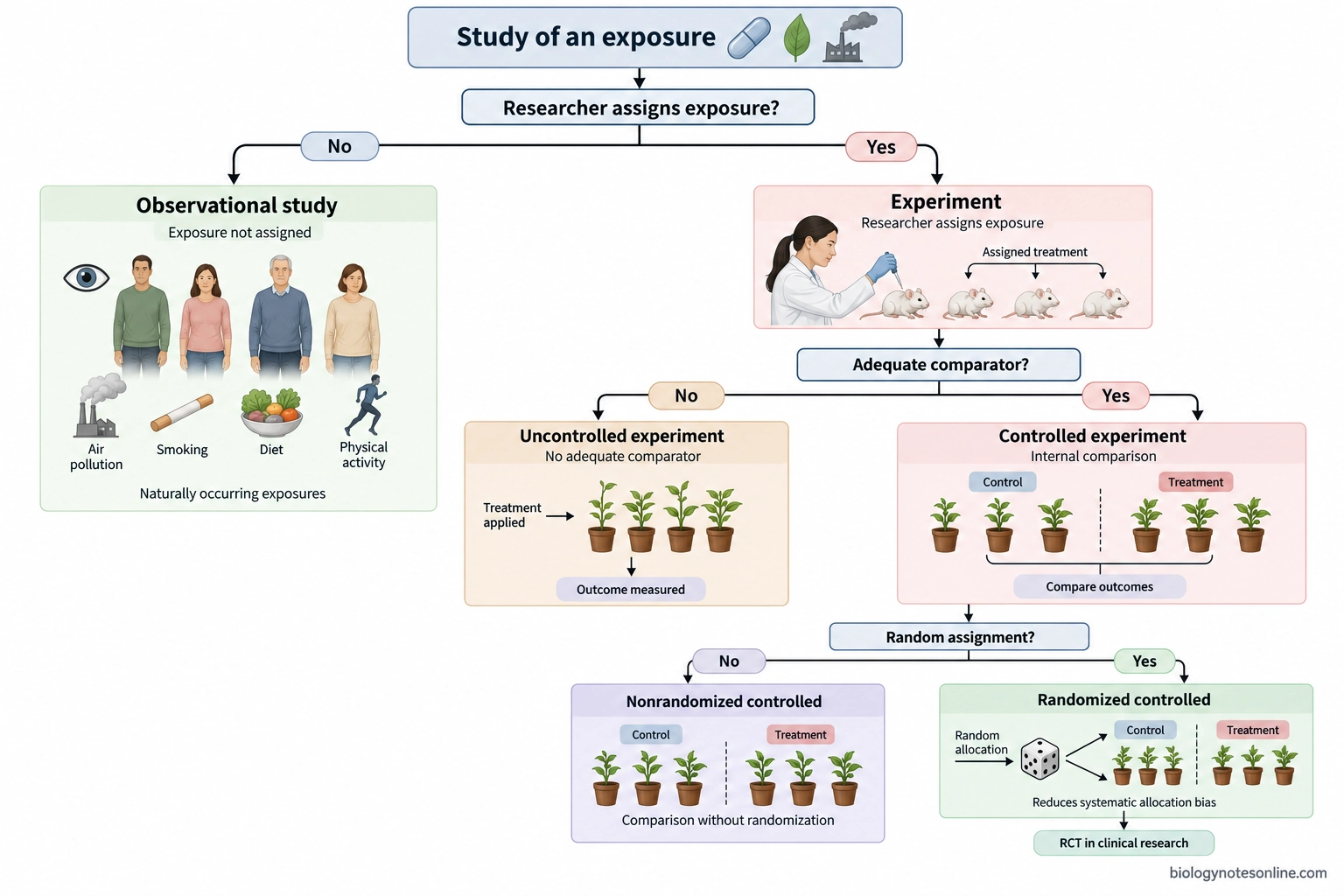 Branching diagram distinguishing observational studies from experiments and showing how experiments divide into uncontrolled, controlled, and randomized controlled designs.