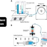 Density Gradient Centrifugation Principle, Protocol, Uses