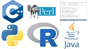 Different Programming Language for Bioinformatics