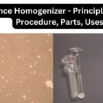 Dounce Homogenizer - Principle, Types, Procedure, Parts, Uses