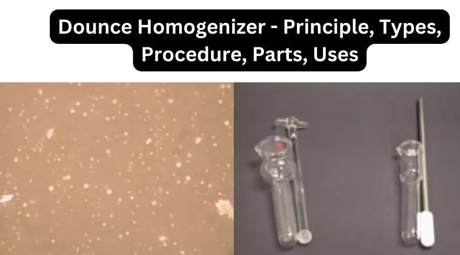 Dounce Homogenizer - Principle, Types, Procedure, Parts, Uses