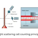 Automated Cell Counter - Principle, Types, and Applications