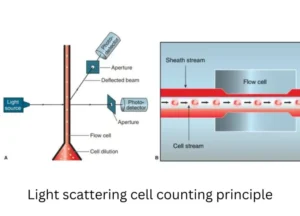Automated Cell Counter – Principle, Types, and Applications