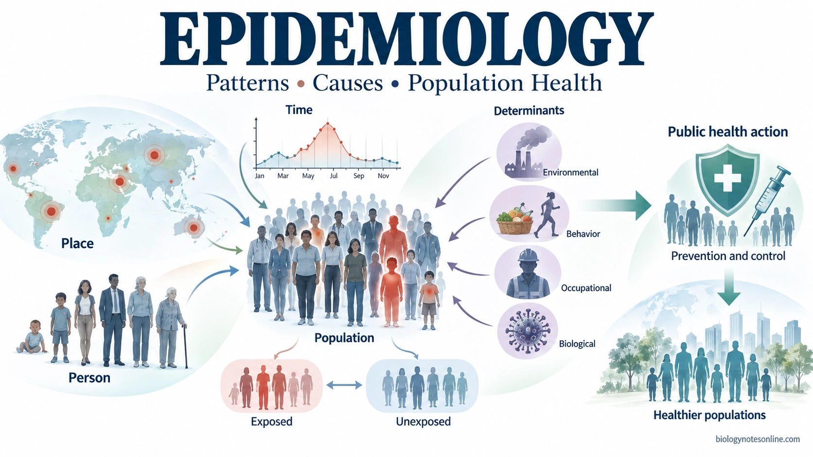 Epidemiology: Definition, Principles, Methods, Measures, and Uses