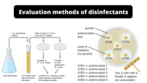 Testing of Disinfectants (evaluation methods of disinfectants)