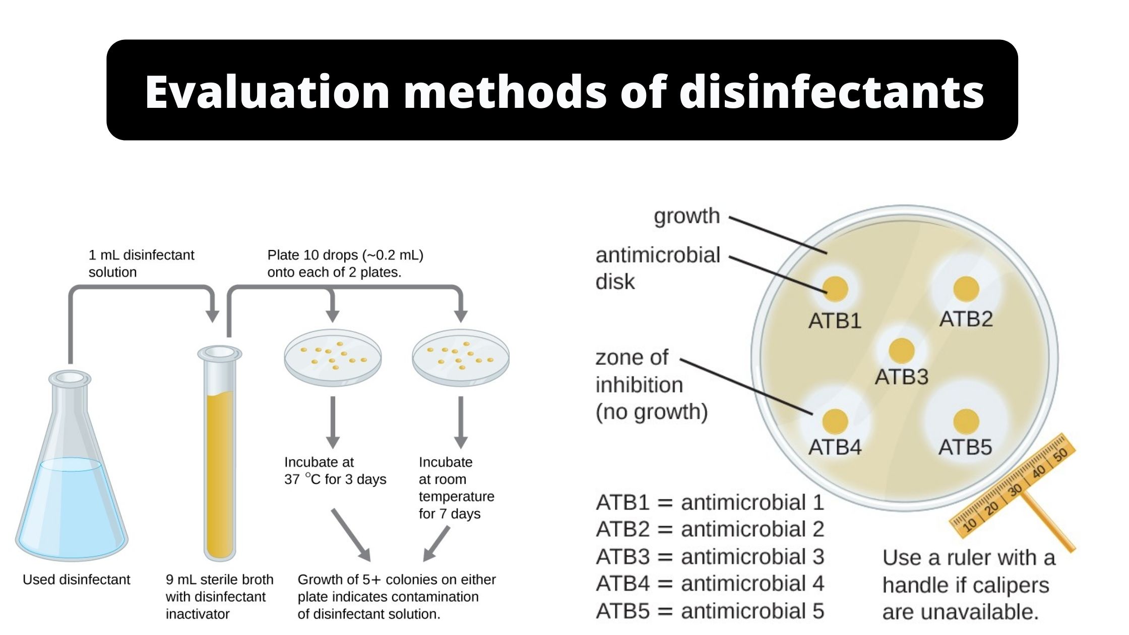 Testing of Disinfectants (evaluation methods of disinfectants)