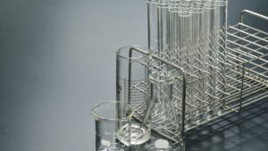 Experimental Group – Definition, Importance, Examples