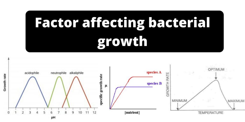 Factor affecting bacterial growth - Biology Notes Online