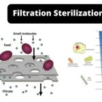 Filtration Sterilization - Types, Mechanism, Uses