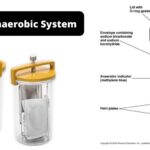 GasPak Anaerobic System - Principle, Application
